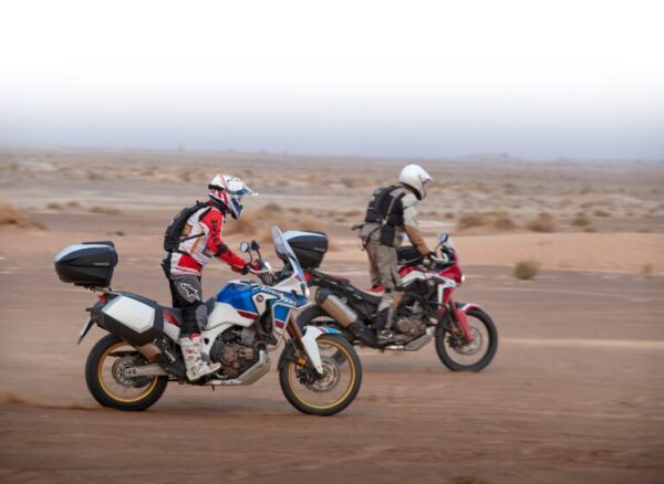 8430358665187_9-768x561-1.jpg 8430358665187_9-768x561-1.jpg