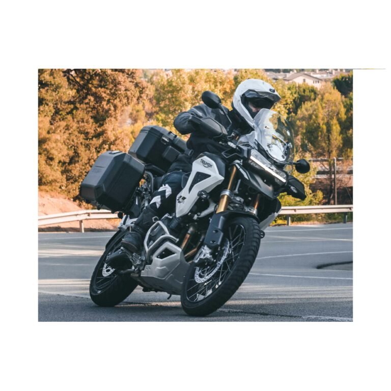 SHAD TR55 SİYAH ARKA ÇANTA - Görsel 11