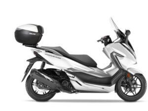 HONDA ADV 350/FORZA 125/300 ARKA ÇANTA TAŞIYICI DEMİRİ (15-24)